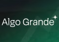 Algo Grande Copper Reports Significant Mineralization in New Drill Hole